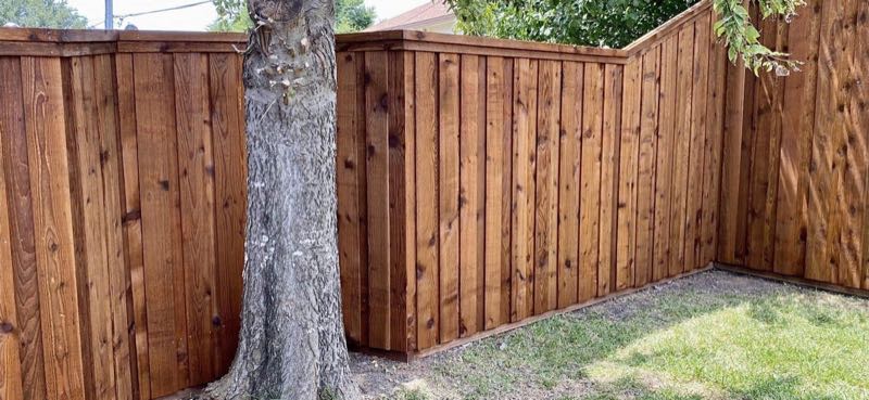 Cedar Privacy Fence in Rowlett